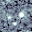 ATLAS template image at the position of (6478) Gault
